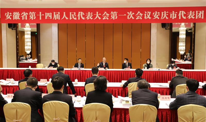 安庆市代表团审议省人大常委会和省“两院”工作报告