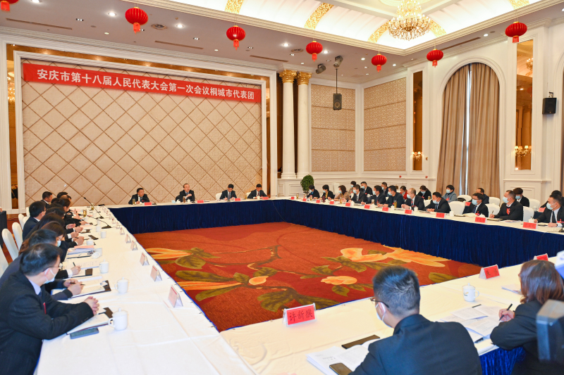张祥安在参加桐城市代表团审议时强调 把加快发展摆在第一位 尽快重返